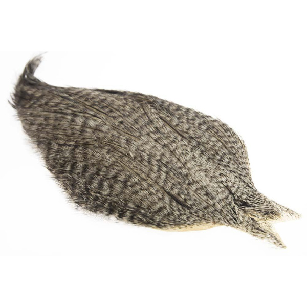 Whiting Coq de Leon Rooster Cape - Bilde 9