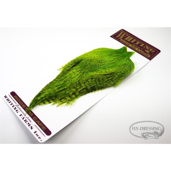 Whiting Coq de Leon Rooster Cape - Bilde 2