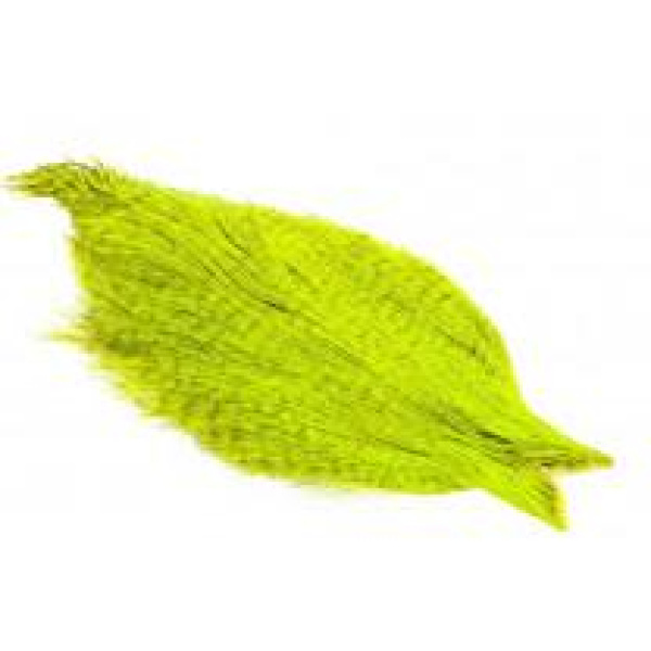 Whiting Coq de Leon Rooster Cape - Bilde 5
