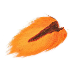 Doetail