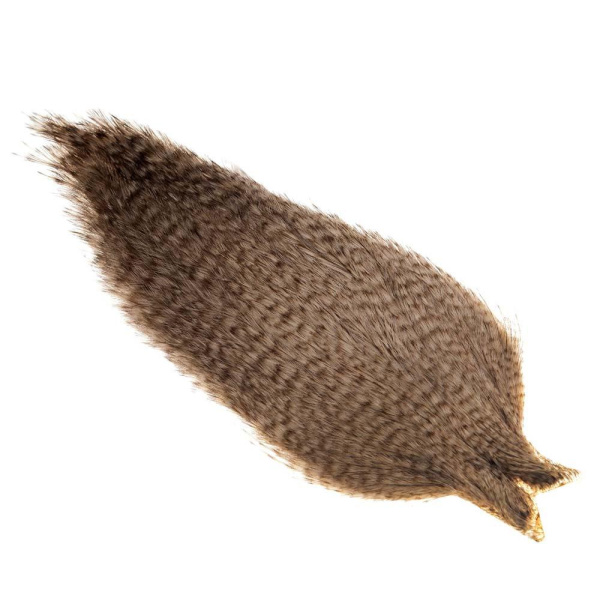 Whiting Coq de Leon Rooster Cape - Bilde 8