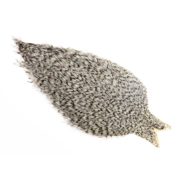 Whiting Coq de Leon Rooster Cape - Bilde 12