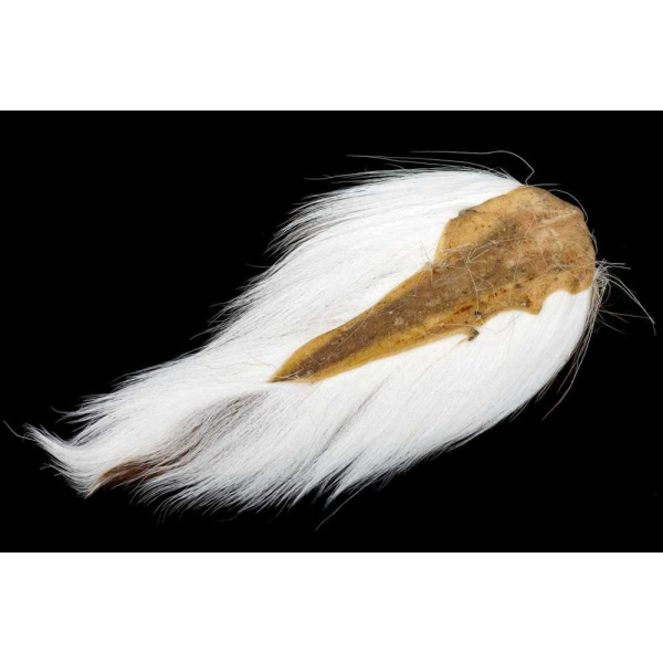 Doetail - Bilde 2