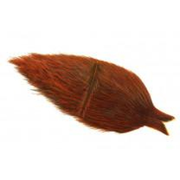 Whiting Coq de Leon Rooster Cape - Bilde 7