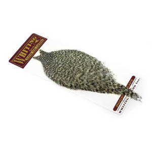Whiting Coq de Leon Cape