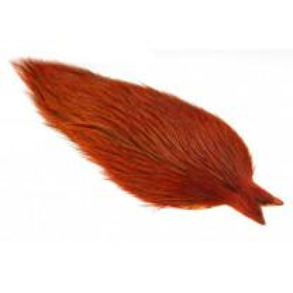 Whiting Coq de Leon Rooster Cape - Bilde 6