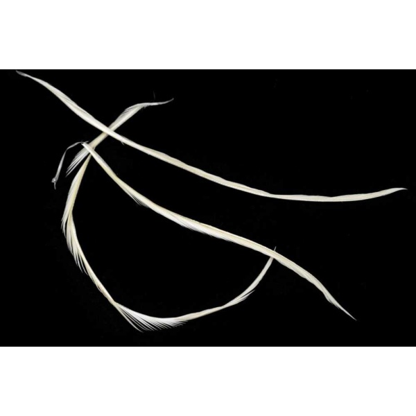 Goose biot strips - Bilde 2