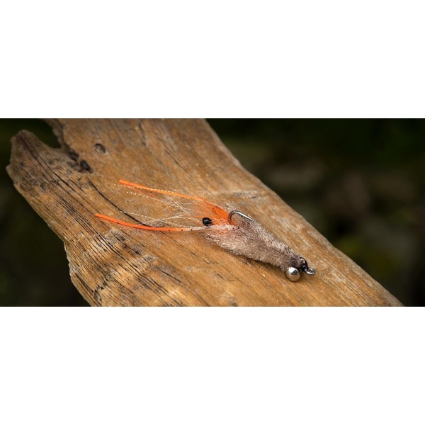 Ahrex SA250 - SA Shrimp - Bilde 2
