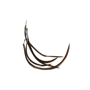 Goose biot strips