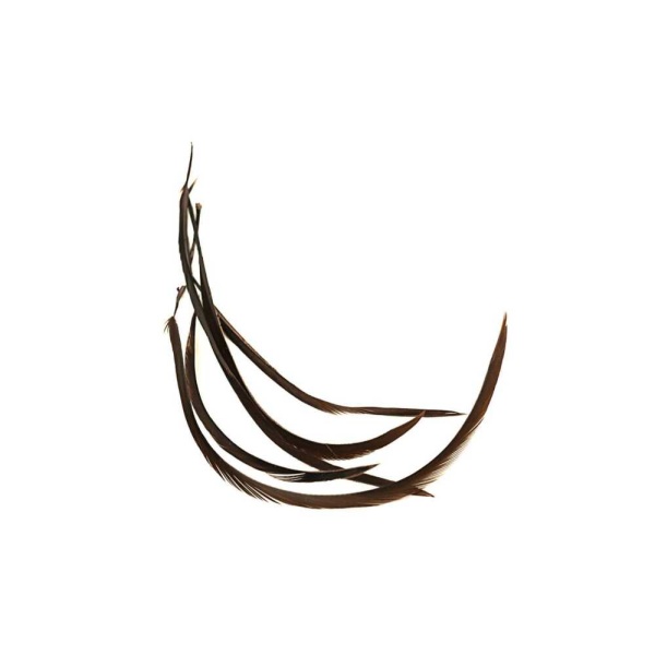 Goose biot strips