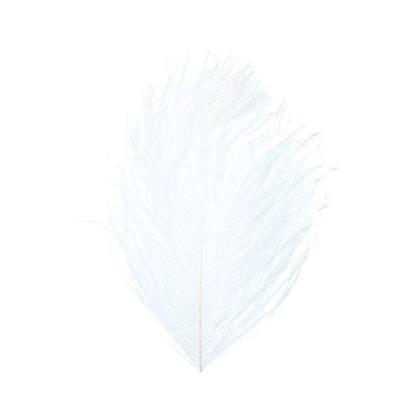 Ostrich Herl - Bilde 4